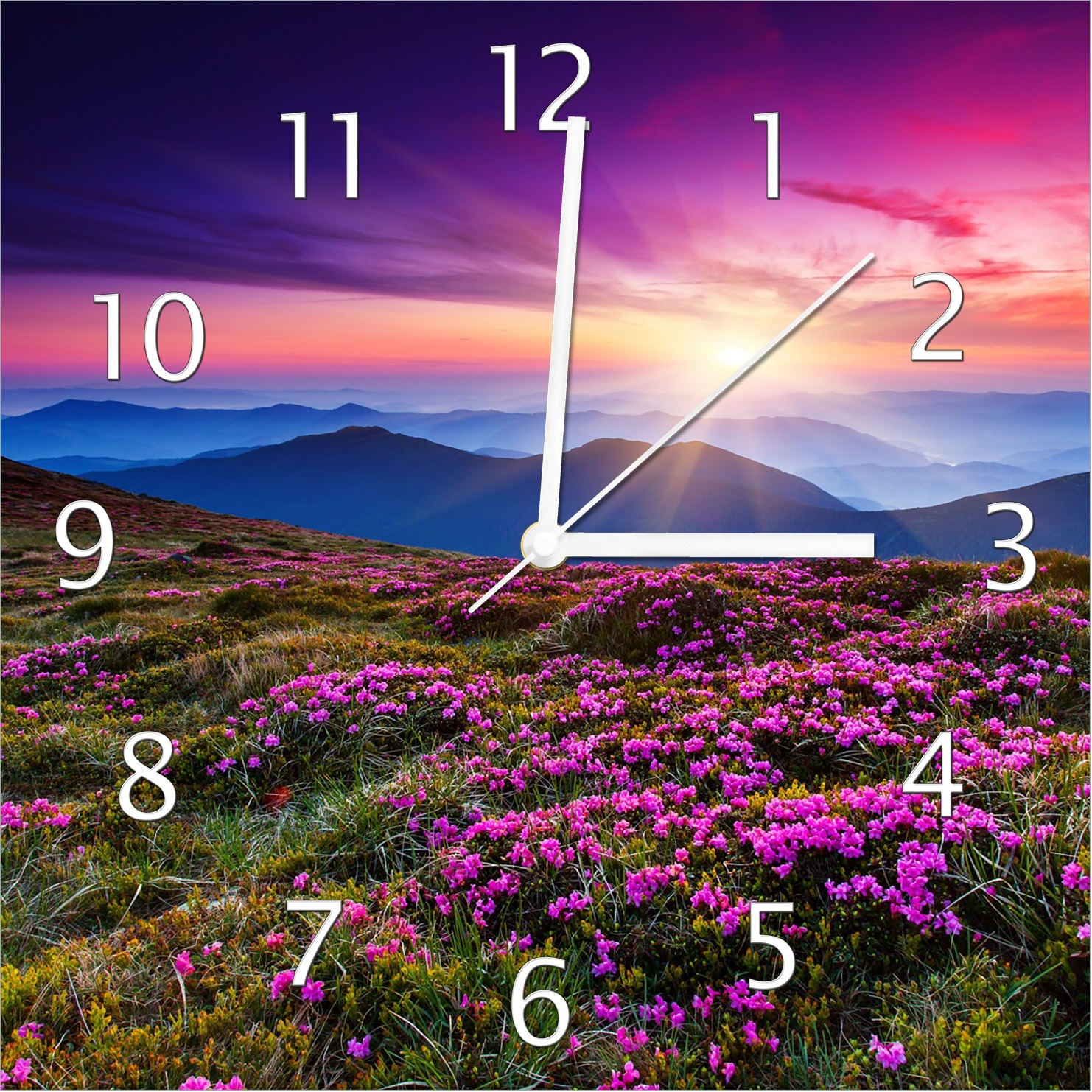 Wallario Design Wanduhr Blumenbedeckte Wiese bei Sonnenuntergang aus Echtglas, Größe 30 x 30 cm guk0525-3030