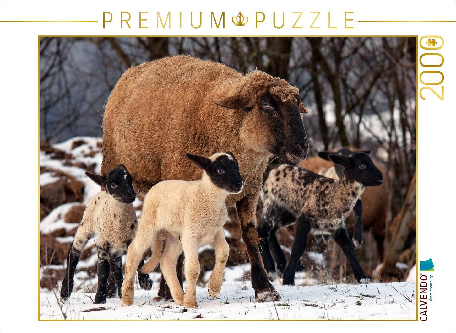 CALVENDO Puzzle Kinderstube im Schnee 2000 Teile Puzzle quer | 2000 Teile Lege-Größe 90x67cm Foto-Puzzle für glückliche Stunden