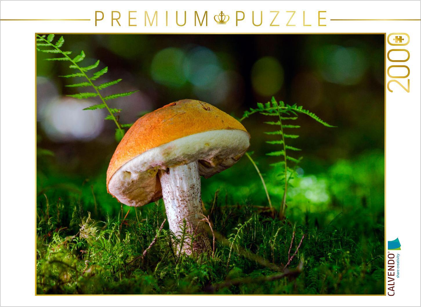CALVENDO Puzzle Birkenpilz (Leccinum scabrum) 2000 Teile Puzzle quer | 2000 Teile Lege-Größe 90x67cm Foto-Puzzle für glückliche Stunden