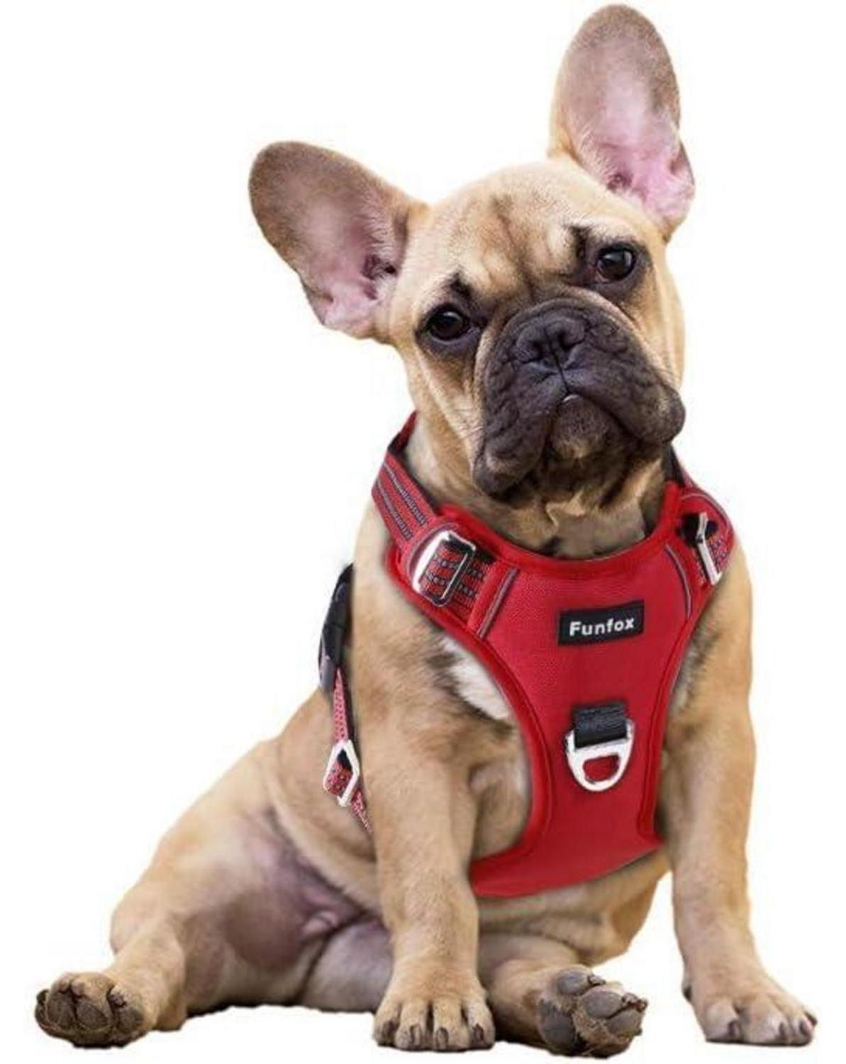 Sonstige Hundegeschirr Anti Zug Welpengeschirr mit Griff Rot Größe S