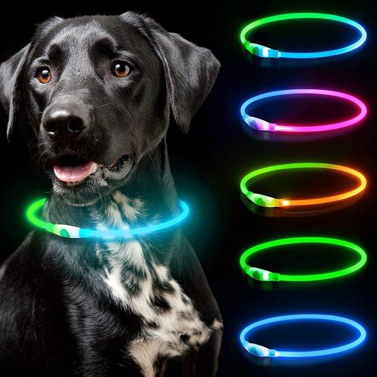 OEM Hunde Leuchten – Halsband mit Leuchte – Hunde Ausleuchtung – Hundebeleuchtung für Spaziergänge 2026