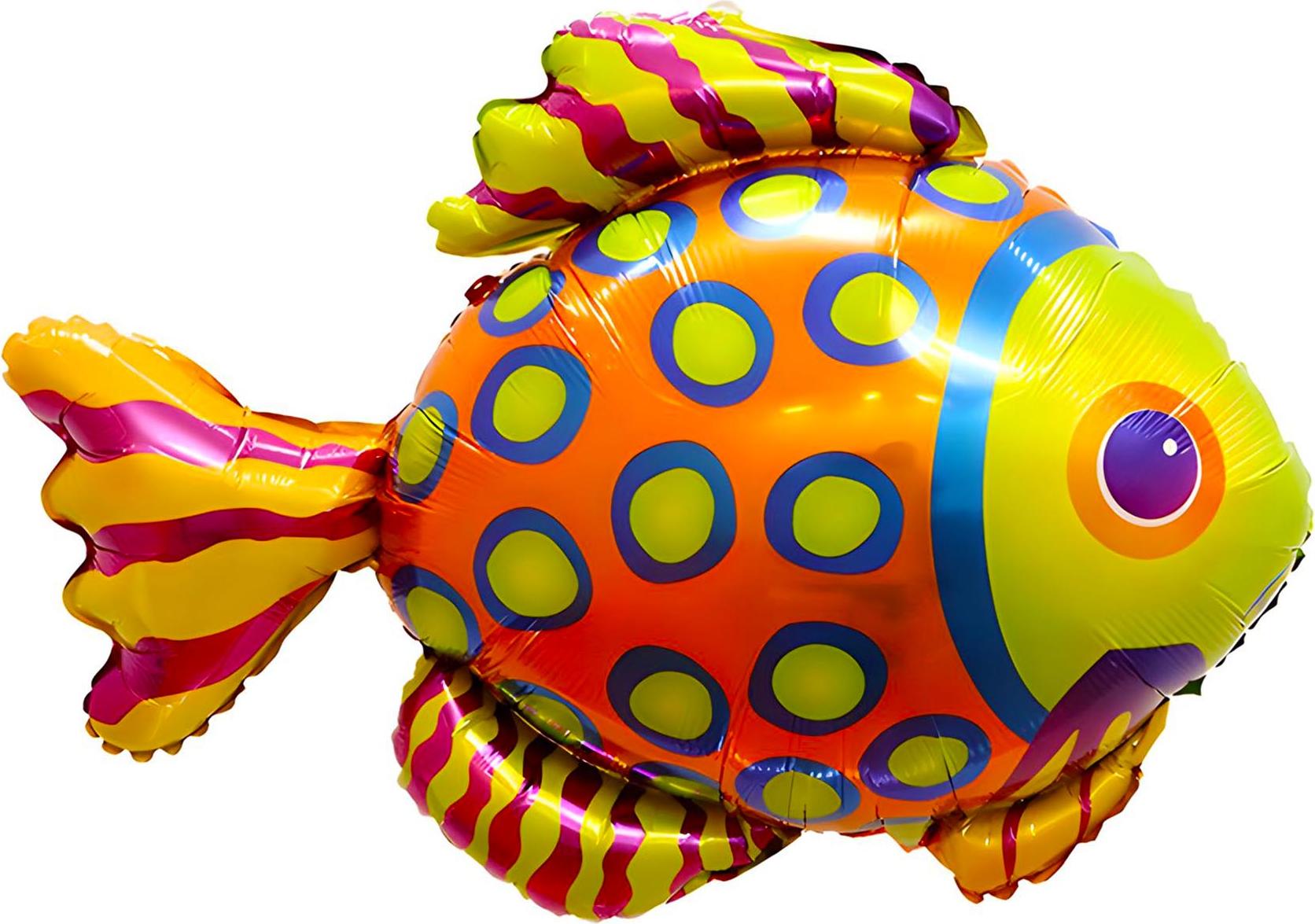 Lot de 24 balles en caoutchouc Flummi - Multicolore - 25 mm