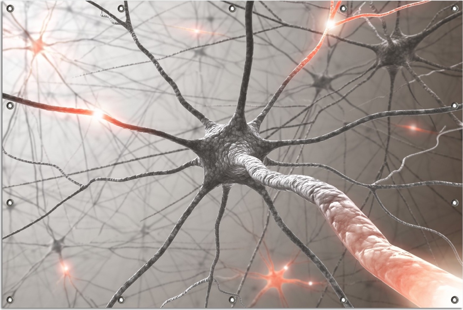 Wallario Outdoor-Poster für Garten oder Balkon, Motiv Menschliche Nervenzelle, in ca. 120 x 180 cm goban5565-120180