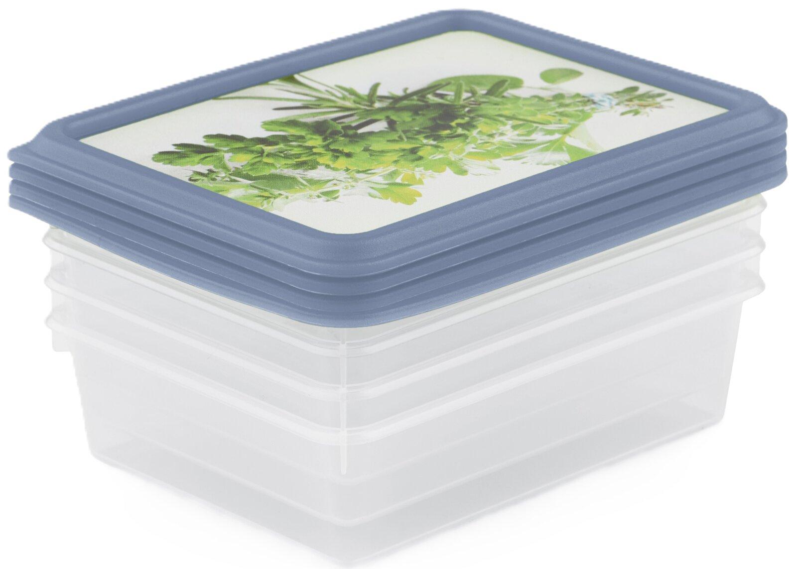 rotho Kräutergefrierdosen Set 4-tlg. RONDO