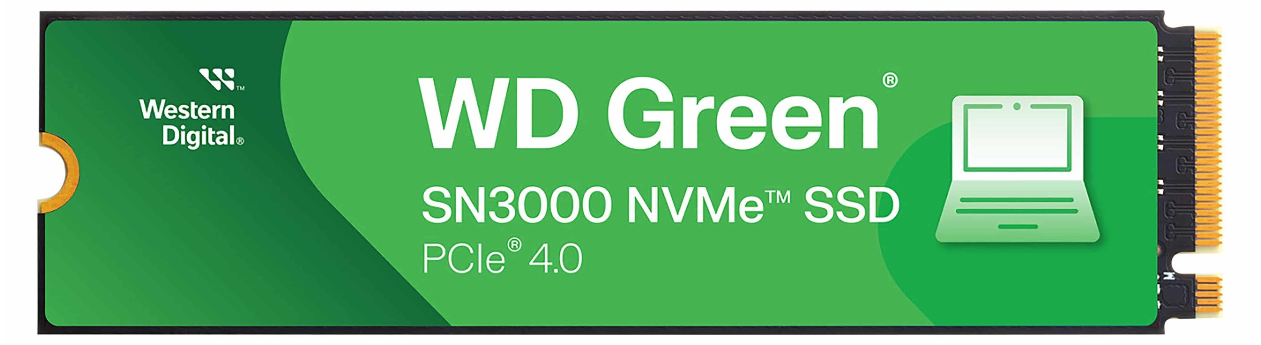 wds100t4g0e-00cps0