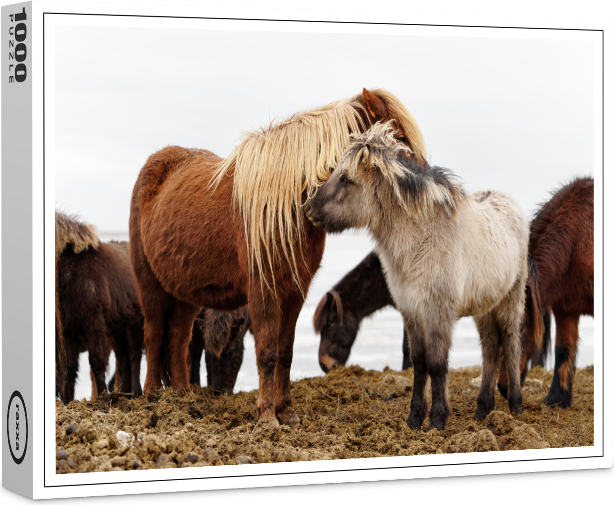 raxxa Premium-Puzzle "Islandponnys", 1000 Teile 1-14270-6983-218