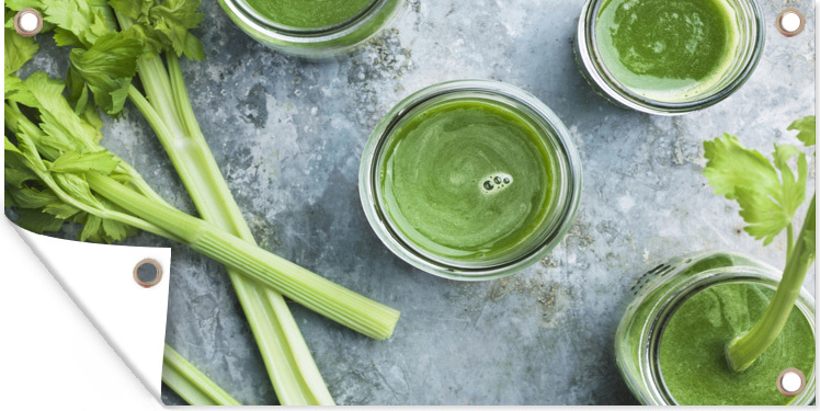 MuchoWow® 160x80 cm Outdoor-Poster Gartendeko Sichtschutz Garten Poster für den Garten Frischer grüner Staudensellerie vor grauem Hintergrund 133|1301549