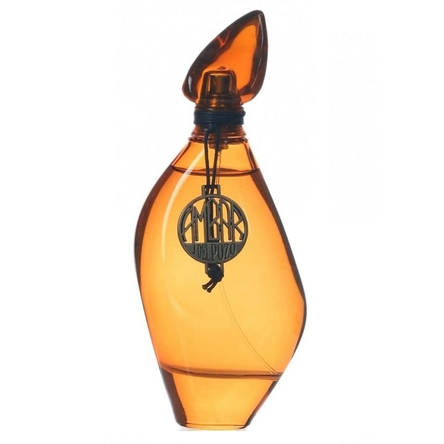 Damenparfüm Jesus Del Pozo EDT 100 ml 327051