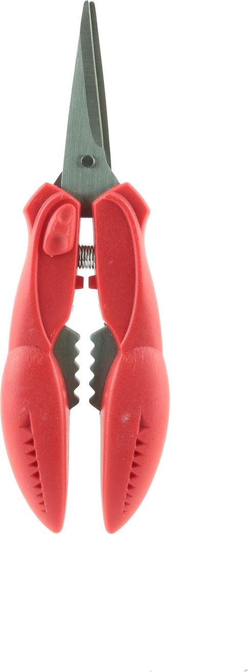 Cook Concept 2-in-1-Schere für Krustentiere