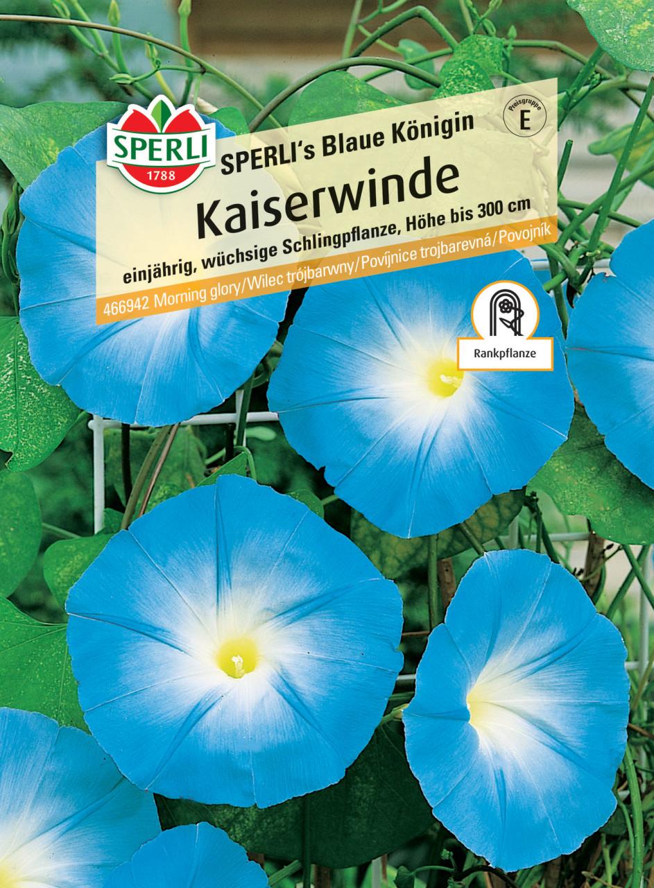 Sperli GmbH Sperli Kaiserwinde Sperli's Blaue Königin 466942