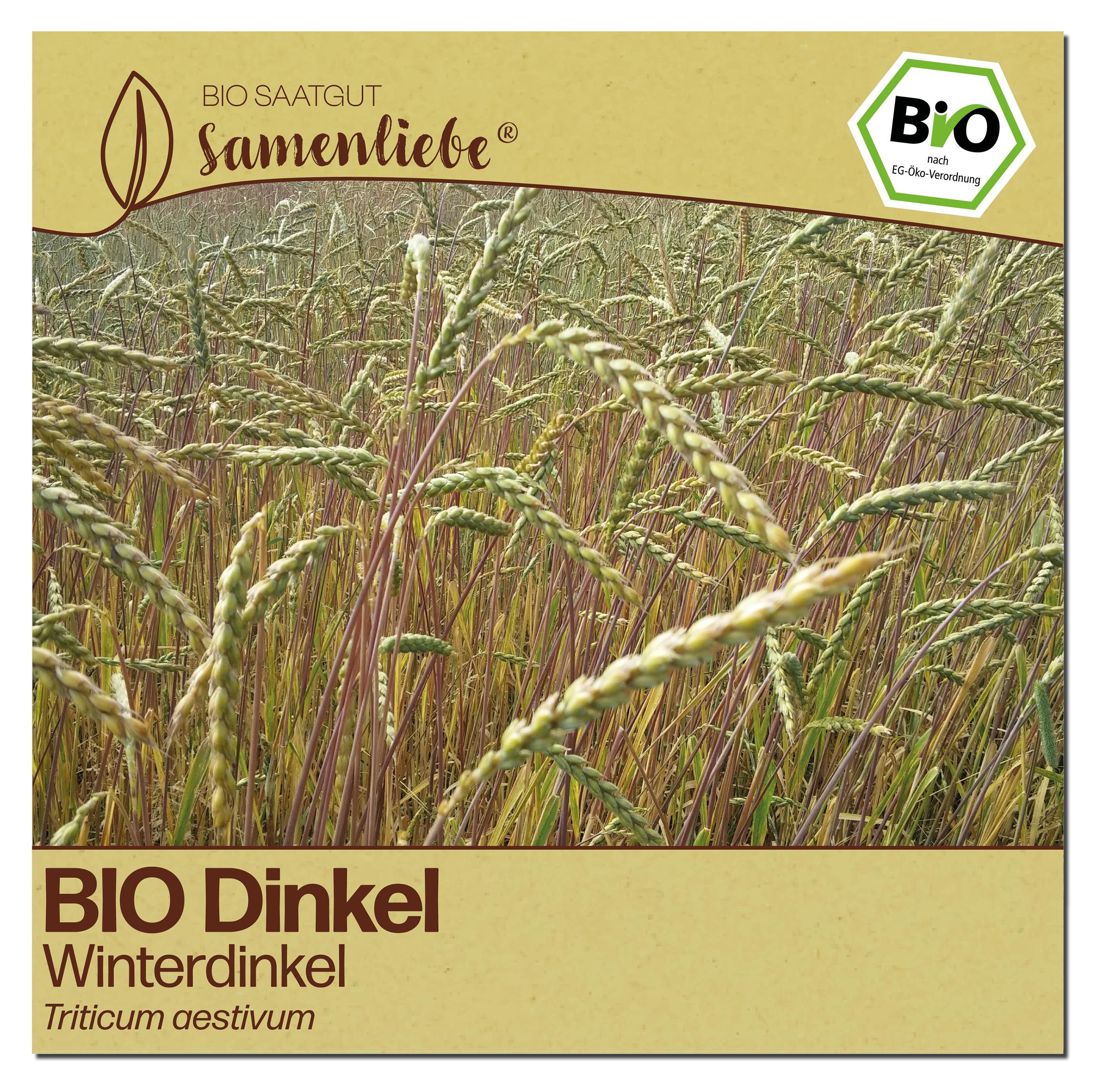 Samenliebe Dinkel Samen | Winterdinkel - winterhart -