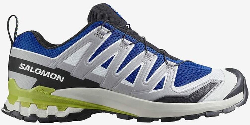 Trail-Laufschuhe für Herren (Berglauf) Salomon Xa Pro 3D V9 Blau S64204689