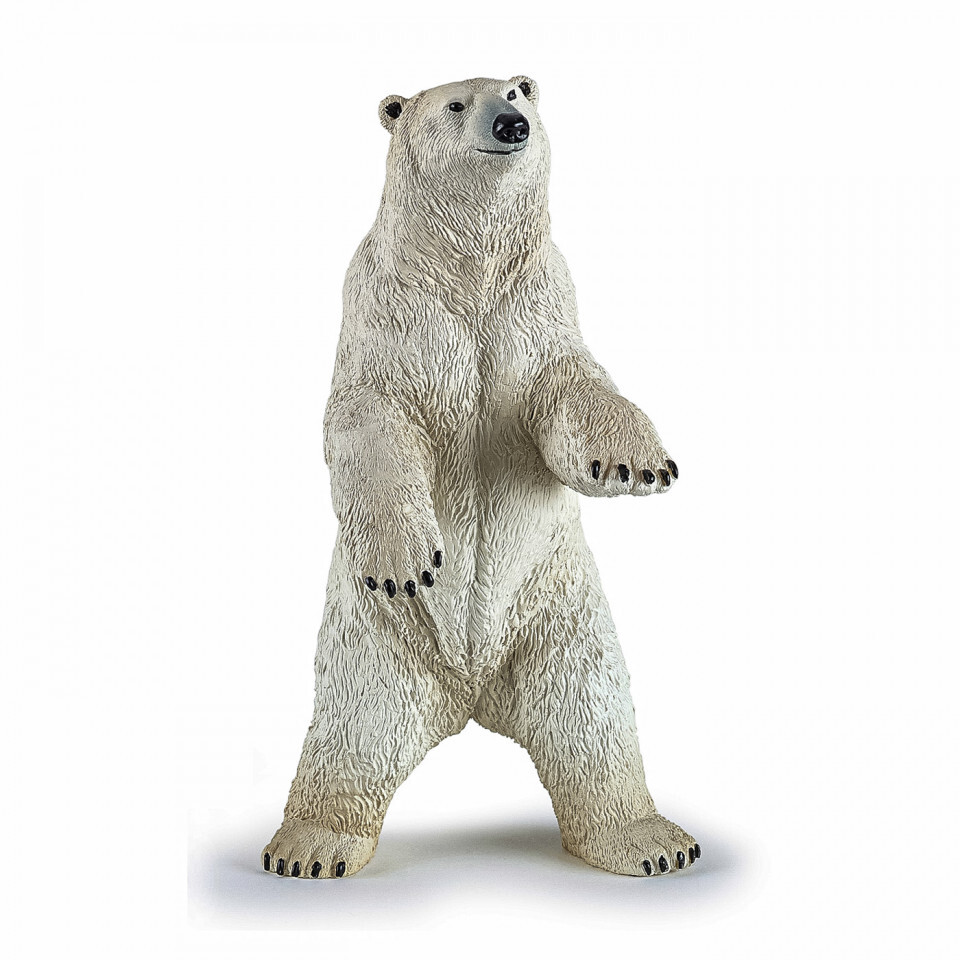 Set Corde E Cavi Per Arco Compound Bear Wild – Ricambio Performance Per Tiro Con L'Arco