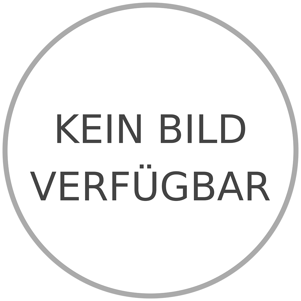 ATIKA Ersatzteil | Trommellagersatz komplett für Patriot 250 389384