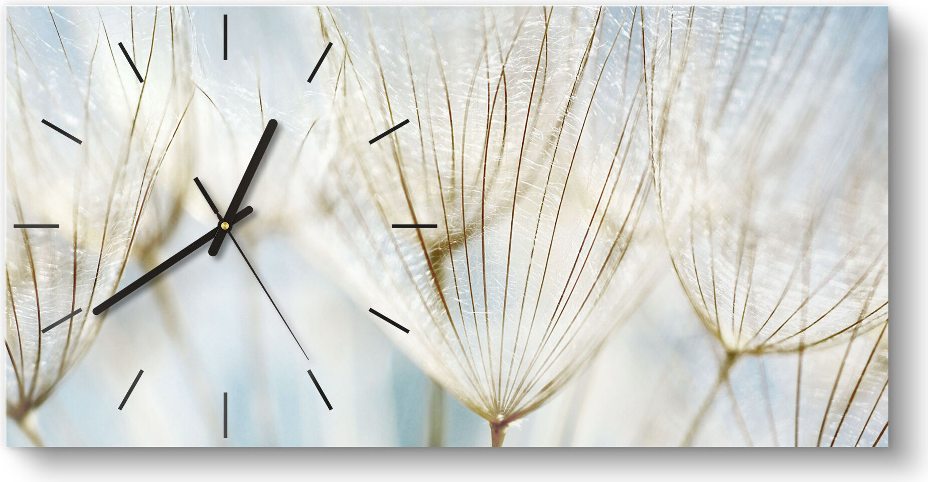 DEQORI Glasuhr 60x30 cm Modern 'Löwenzahnsamen nah' Wanduhr Glas Uhr Design leise WC-60-30-M-2447