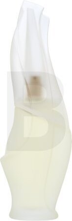 DKNY Cashmere Mist toaletná voda pre ženy 100 ml