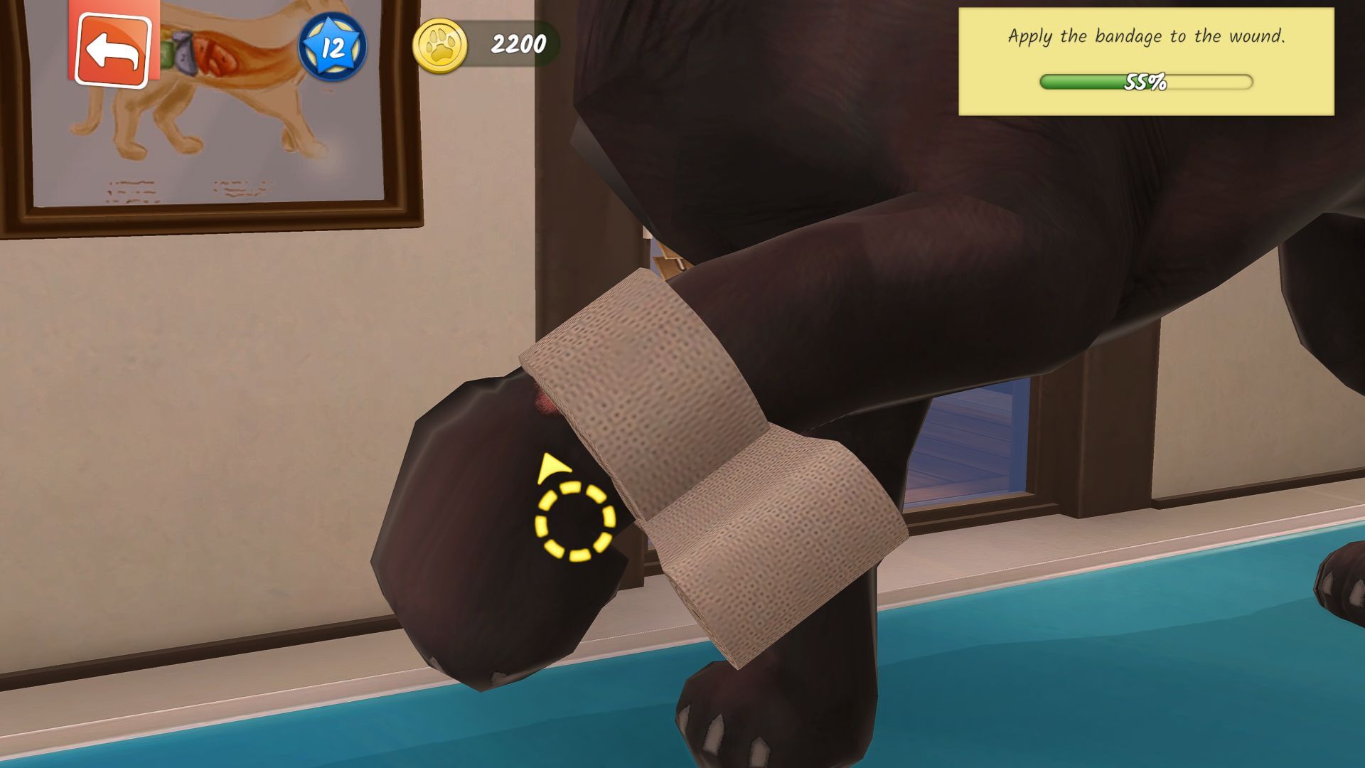Nacon Animal Hospital