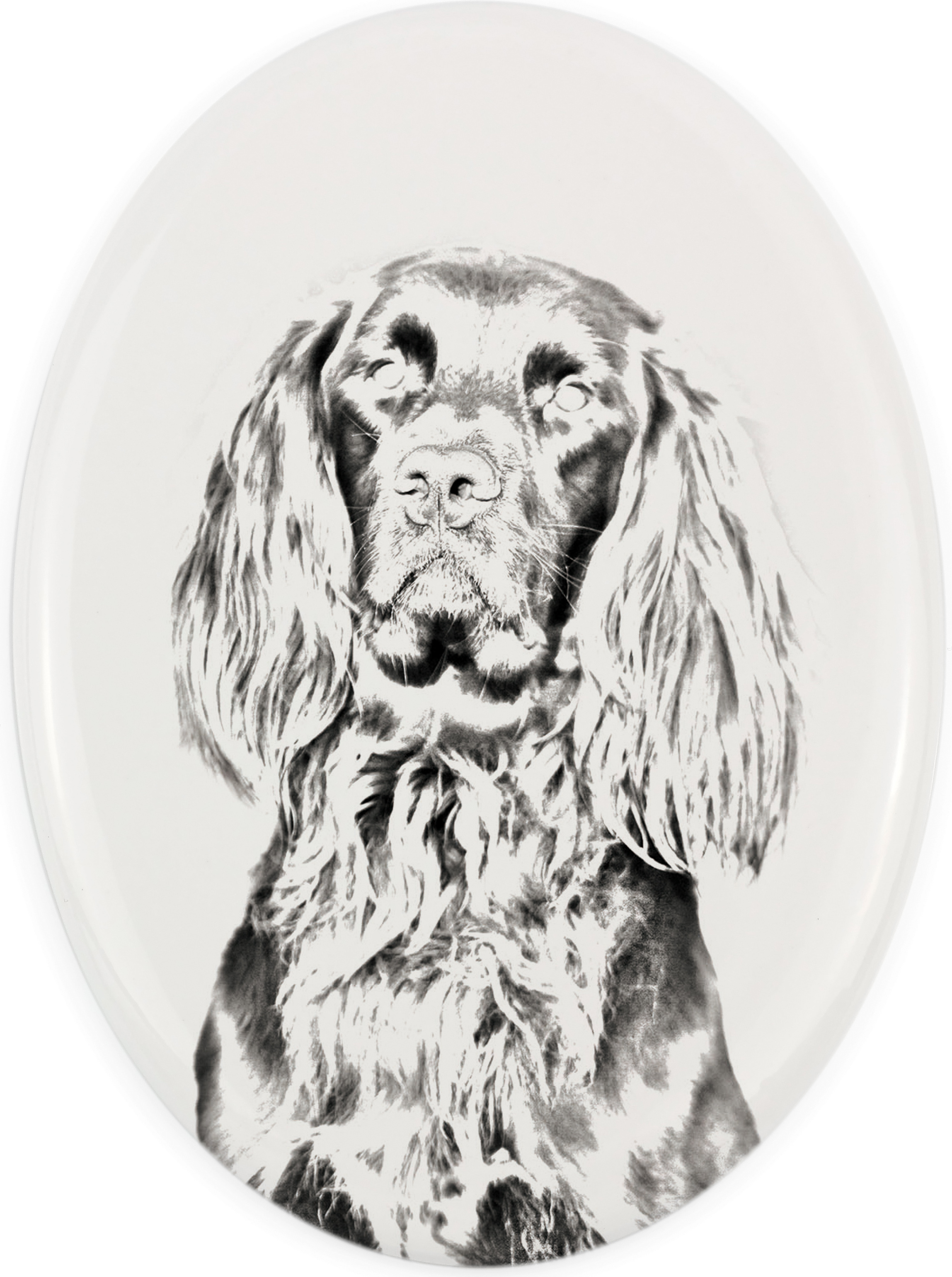 Deutsch Drahthaar - Gedenktafel mit einem Foto eines Hundes, Grabplatte mit Druck, personalisierte ovale Platte der Marke Art-Dog
