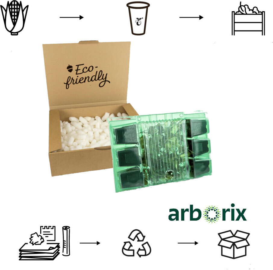 Arborix, grüner und billiger 6 x Bergwald Storchschnabel - Geranium nodosum | Topf 9cm x 9cm GENODOSU-113