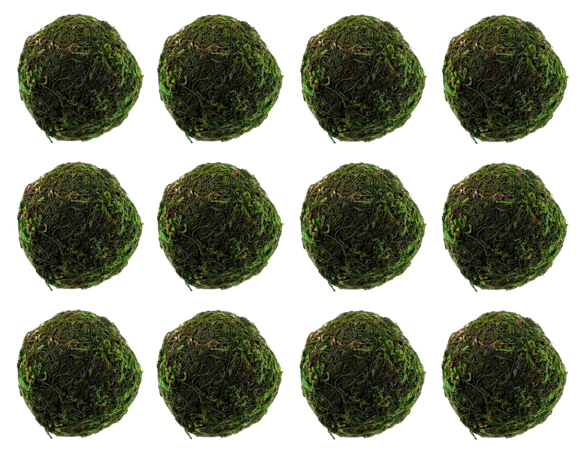 Markenlos 12er Set getrocknete Mooskugeln - Grüne dekorative Moosbälle für Wohnaccessoires, Gartendekoration und Bastelprojekte