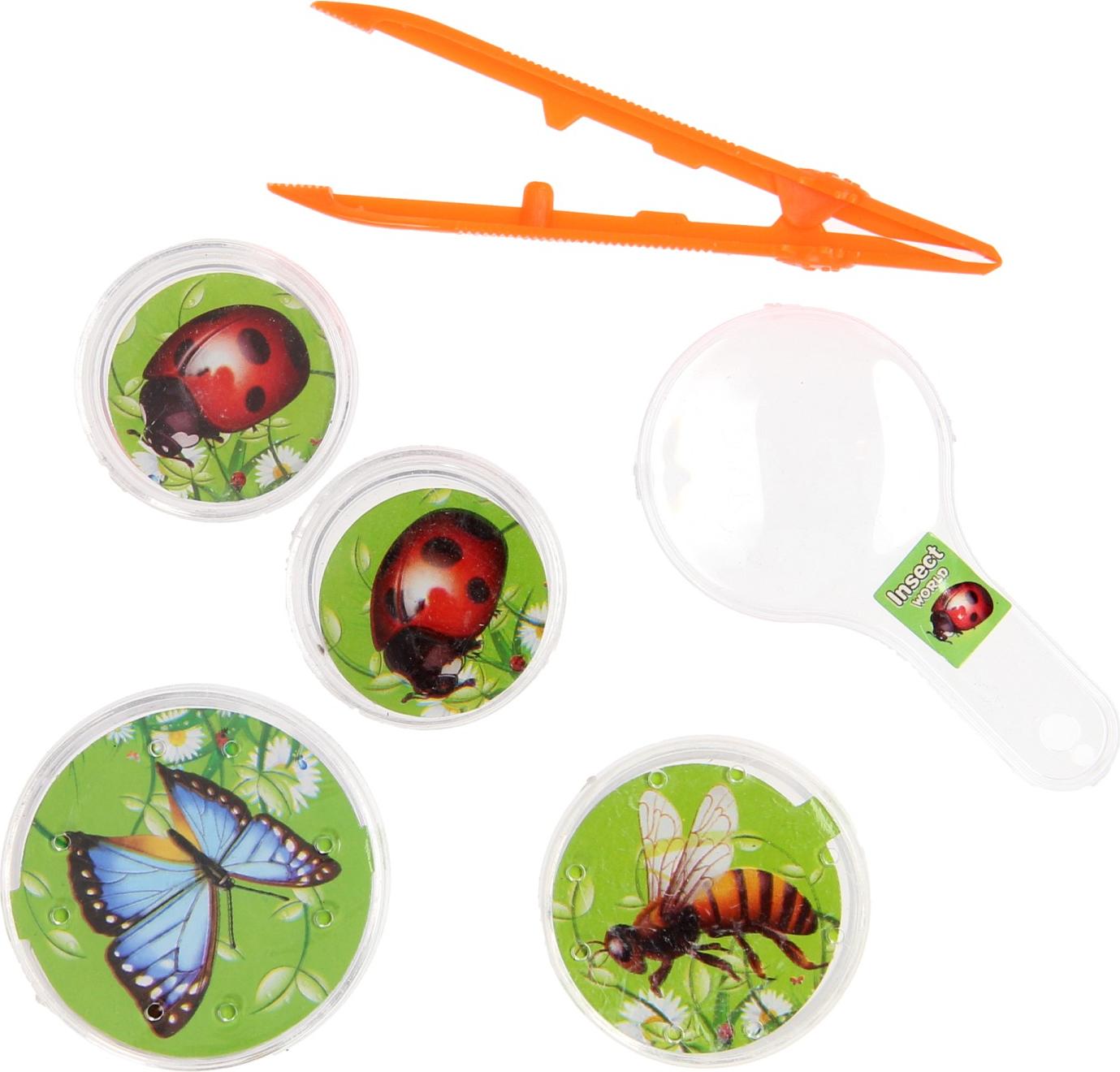 NoBrand Bugs World Insektenbeobachtungsset, 5-teilig