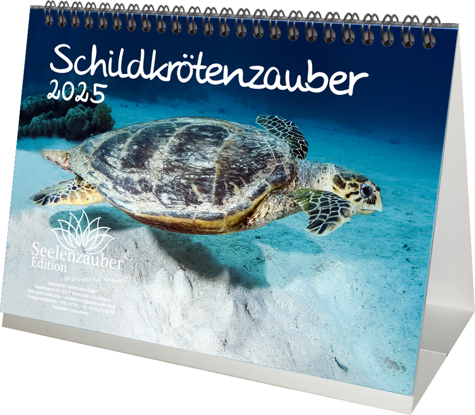 Schildkrötenzauber: Ausmalbilder für Groß und Klein – Kostenlos zum Download!