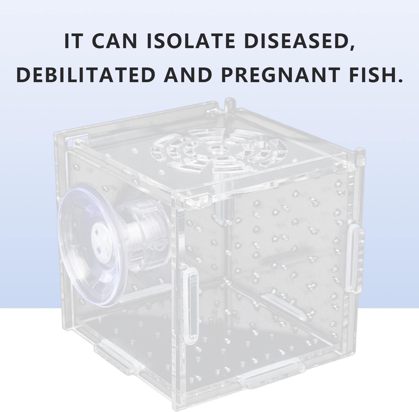 Vislone Fisch Isolation Box Acryl Fischzucht Box Aquarium Brutstätte für Baby-Fische GarnelenEinzelne Mini-Box 8x8x8 K_2115210026812_260211_11890