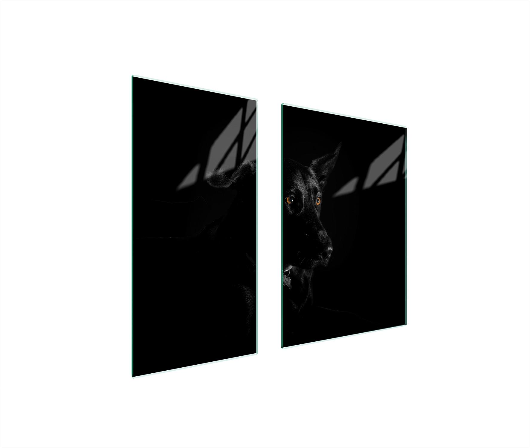 TMK ArtDeko Herdabdeckplatten 2 teilig 75x52 Ceranfeld Abdeckung Glas Schneidebrett Hund Schwarz