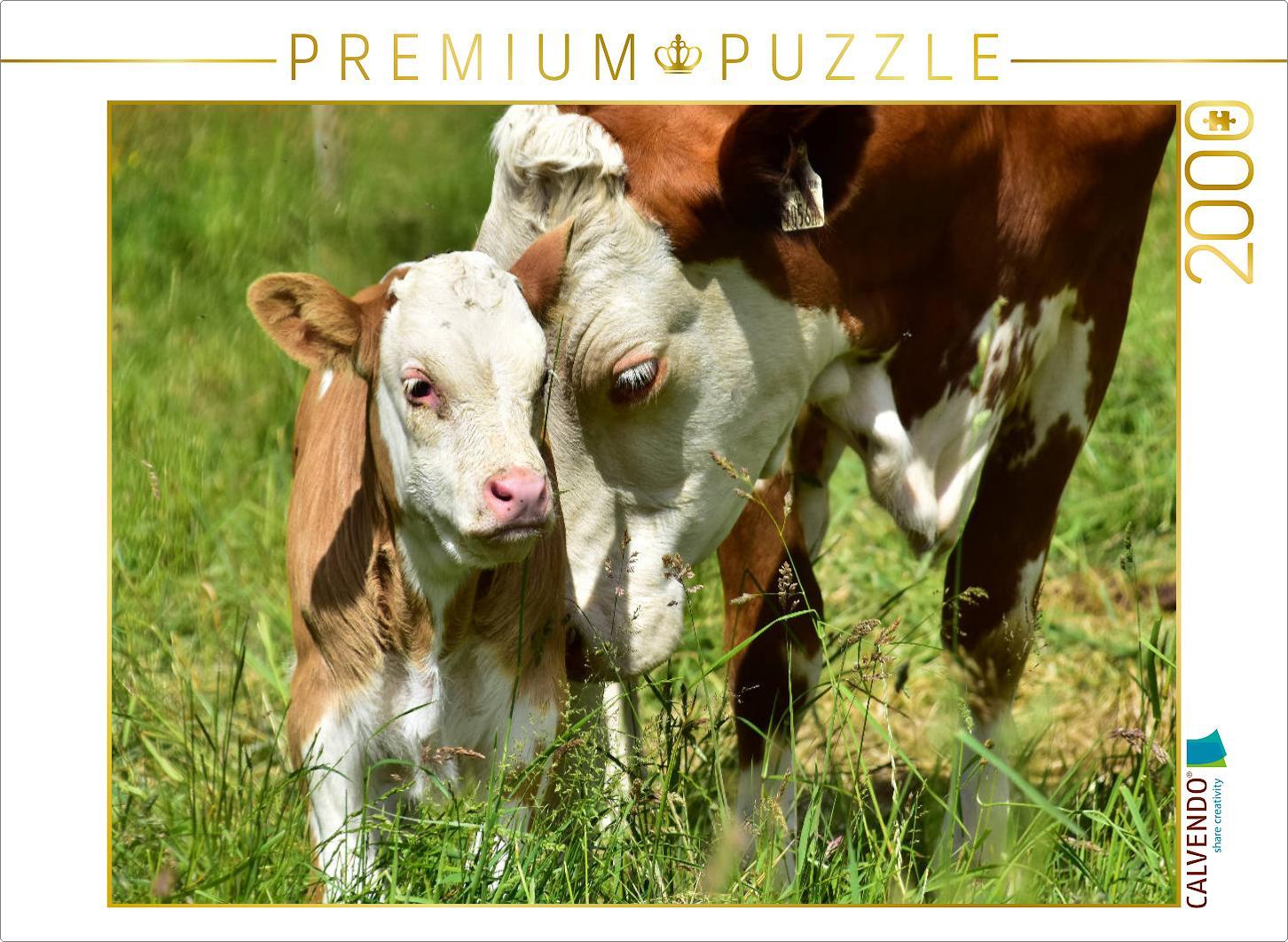 CALVENDO Puzzle Fotoserie Rinder und Kälber auf den Wiesen der Eifel 2000 Teile Puzzle quer | 2000 Teile Lege-Größe 90x67cm Foto-Puzzle für glückliche Stunden