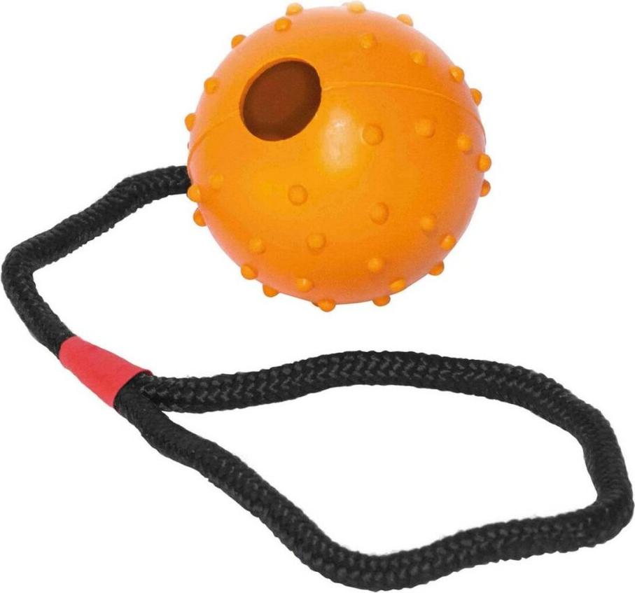 Beißring für Hunde Gloria Mit Seil 7 cm (7 x 30 cm)