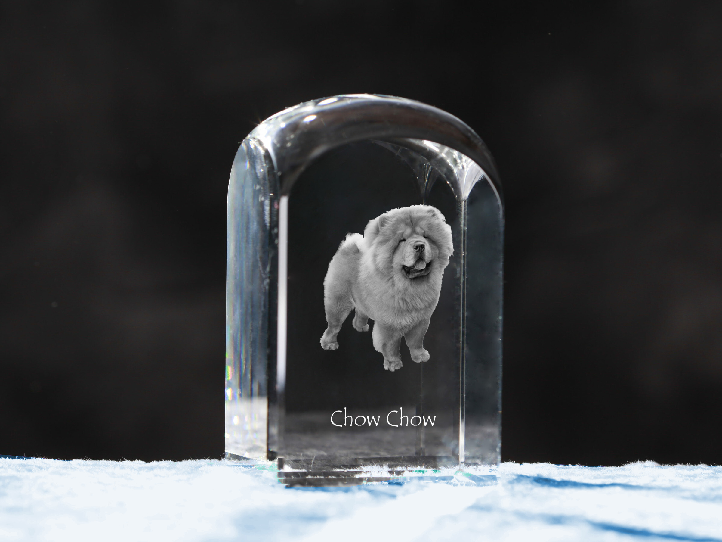 Chow Chow - Kristallwürfel mit Bild, Hundebild im Kristall, sechseckiger Papierclip von Art-Dog.