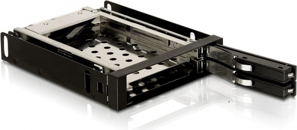 Delock 47189 Wechselrahmen Delock 2x 2,5" SATA HDD in 3,5" Schacht sw