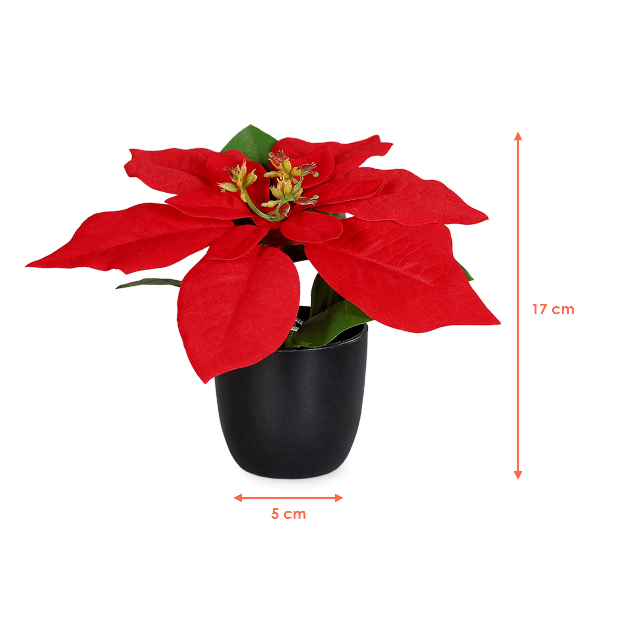 3.08 Weihnachtsstern 17 cm (3 Stck) im schwarzen Topf -