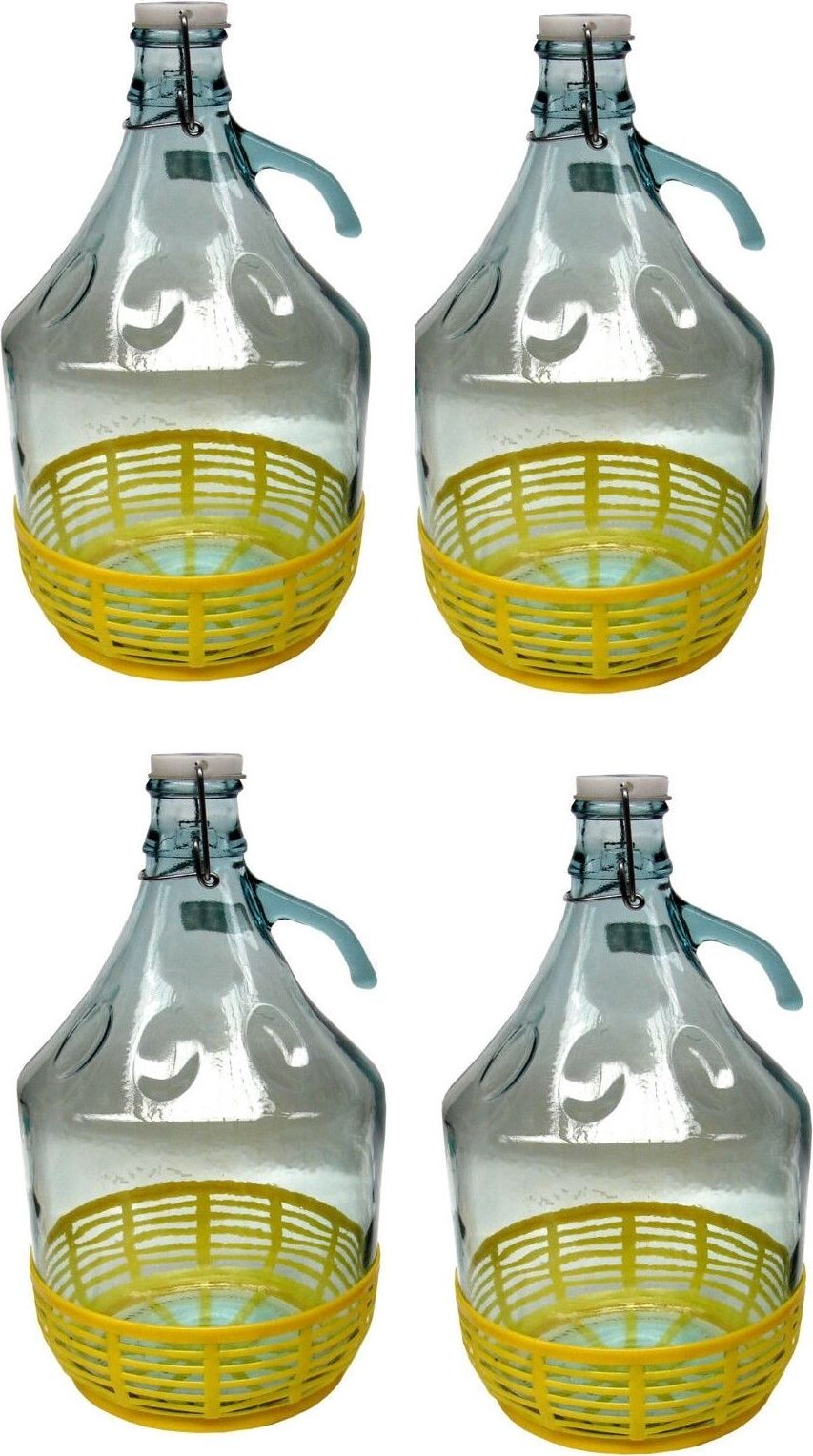 lilawelt24 4er Set Bügelflaschen Bügelflasche Glasflaschen 5L mit Bügelverschluss