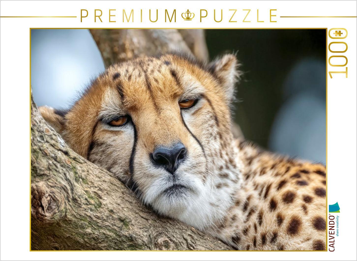 CALVENDO Puzzle Endlich eine Ruhepause | 1000 Teile Lege-Größe 64x48cm Foto-Puzzle für glückliche Stunden