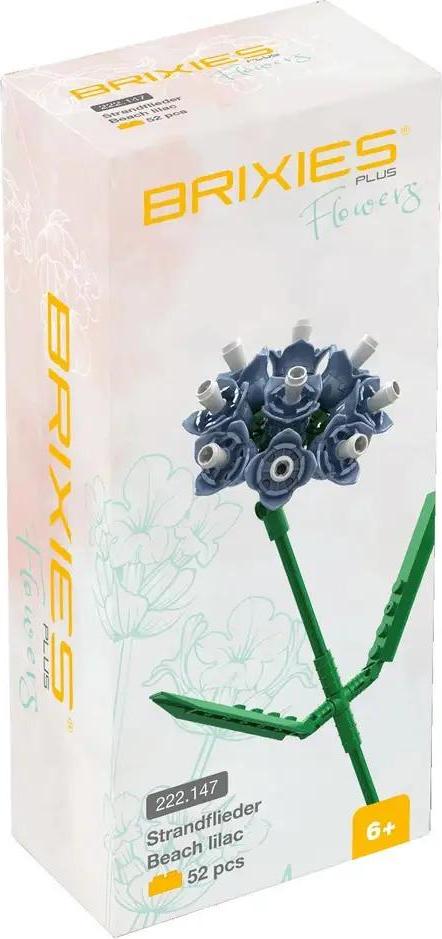 Sonstiges BRIXIES Plus Strandflieder blau 1 222.147