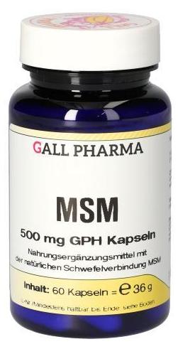 Hecht Pharma GmbH Geschäftsbereich Handelsware MSM 500 mg GPH Kapseln, 60 St KAP 04411668