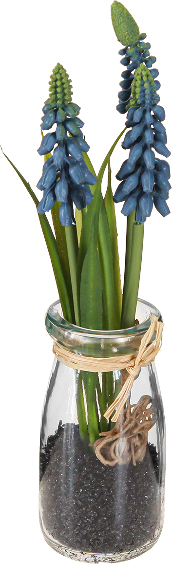 Viana Hyazinthe Künstlich Traubenhyazinthe Blau im Glas Deko 22cm 2St 661317-000-502