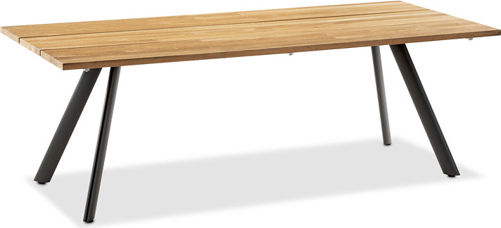 Niehoff Noah Tisch Stativprofil Aluminium/Teak Massivholz T3G6-062-057