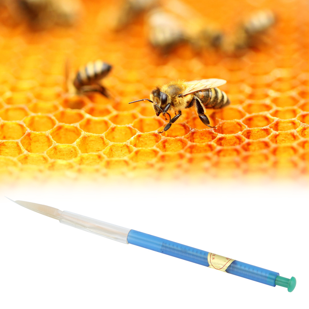 Cocosity Bienenpfropfwerkzeug,Imkerei Pfropfwerkzeug,Königinnenaufzuchtwerkzeug,Imkereiwerkzeug,Imkereiausrüstung