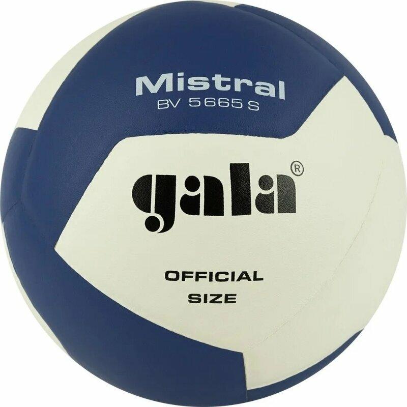 Gala Mistral 12 Hallenvolleyball BV5665S