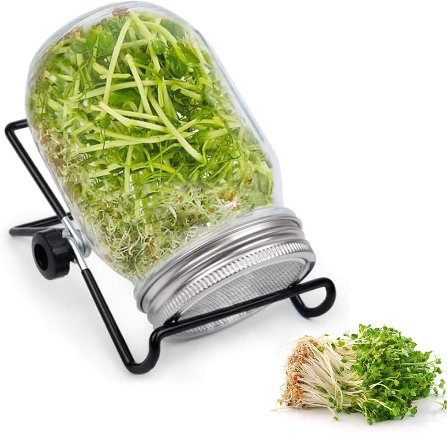 Markenlos Sprossenglas Set, 1000ml Keimglas mit Edelstahlfilter und Ständer für Alfalfa, Brokkoli und Mungobohnen