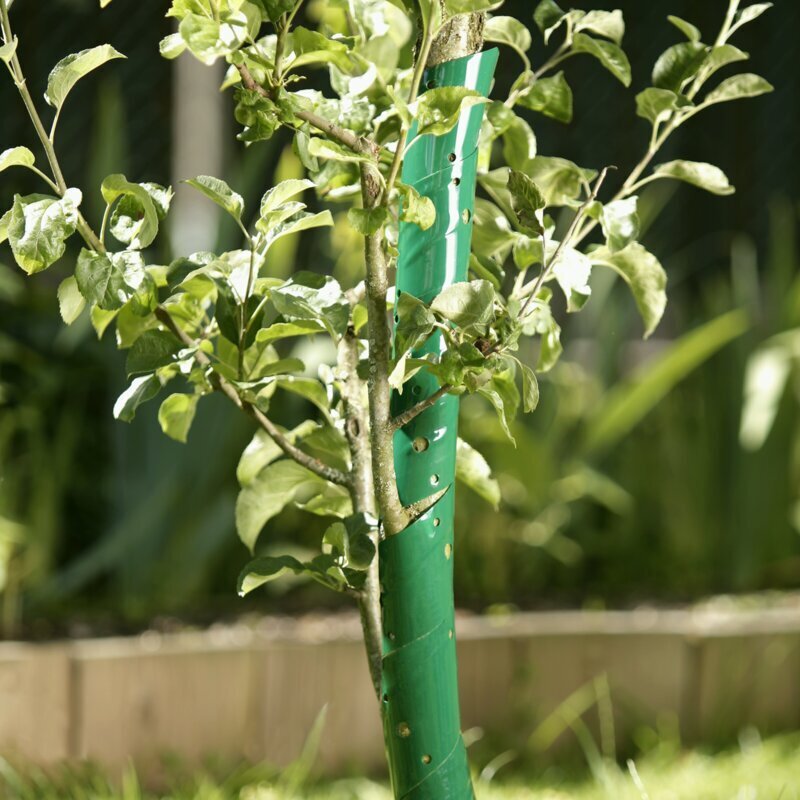 Windhager Baumschutz-Spiralen