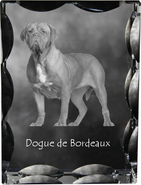 Bordeauxdogge, Dogue de Bordeaux - Kristall mit einem Hundebild, Glasstatuette mit einem Bild, einzigartiger Bilderrahmen der Marke Art-Dog