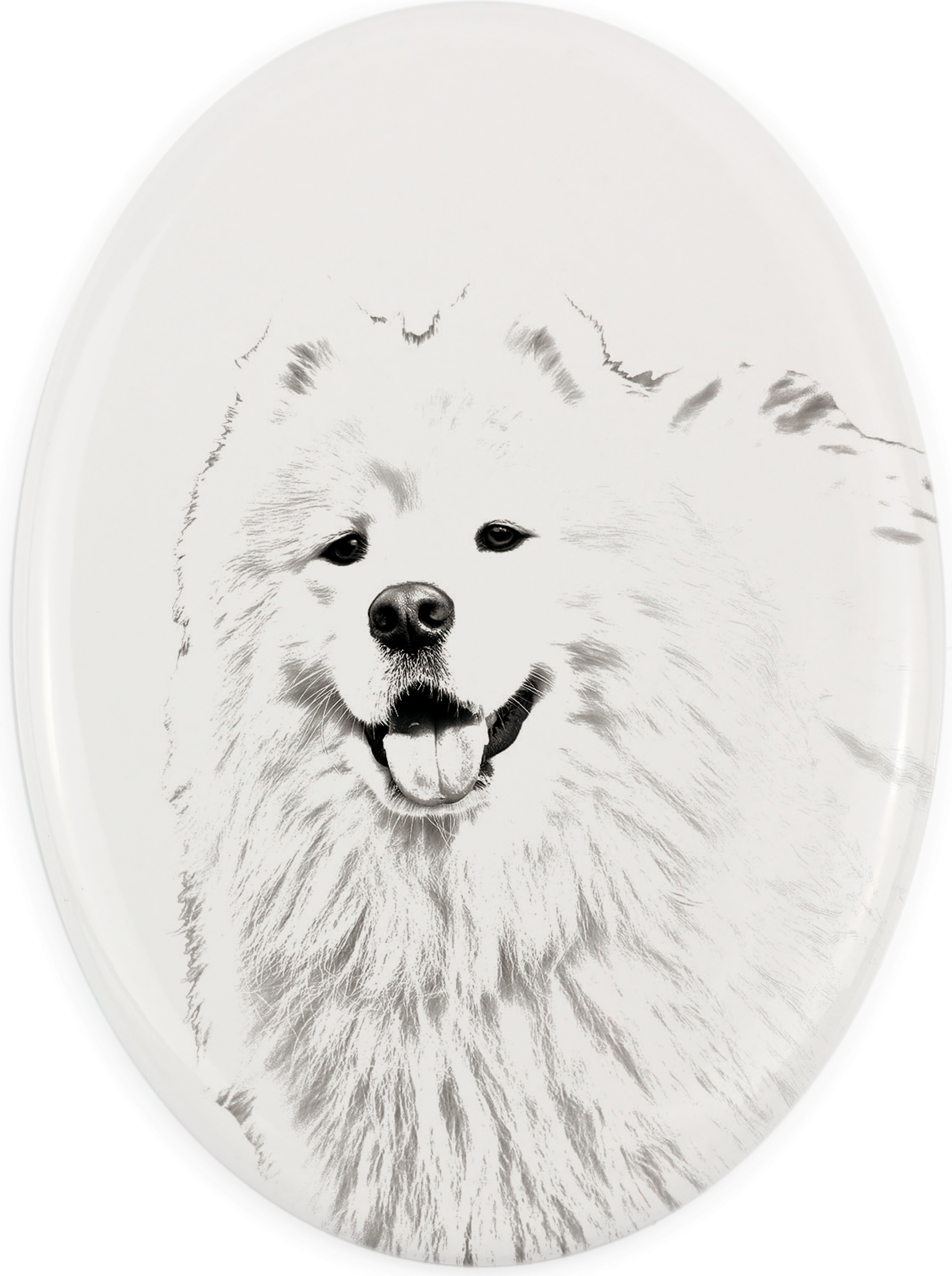 Samojede, Samoyed, Samojedenhund, Samojedenspitz - Gedenktafel mit einem Foto eines Hundes, Grabplatte mit Druck, personalisierte ovale Platte der Marke Art-Dog