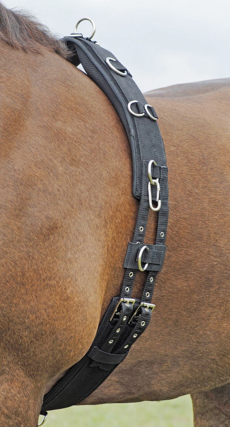 BUSSE Longiergurt Profi-Soft Pony 129303.040.933.