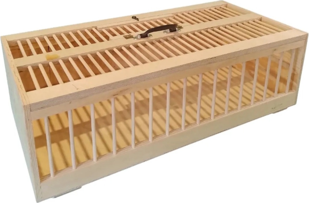 F&R Transportkorb Transportkiste Transportbox für Tauben Transportieren Tiere mit Tragegriff Sprossen 80 x 40cm