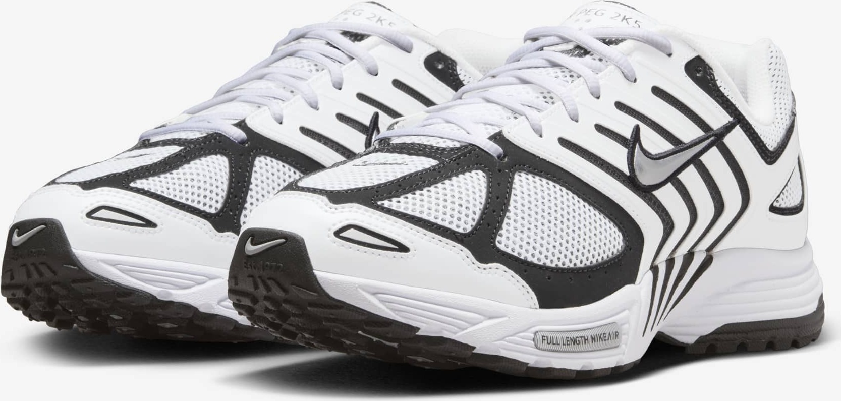 Nike Air Pegasus 2005 