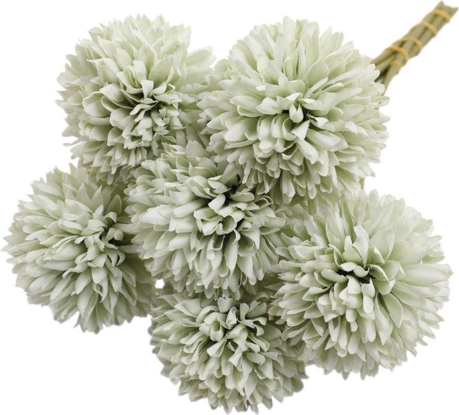 Meoiruery 6 Stück Makronen in der Farbe Löwenzahngrün KAU-ER-LYS-PH-20260108-48