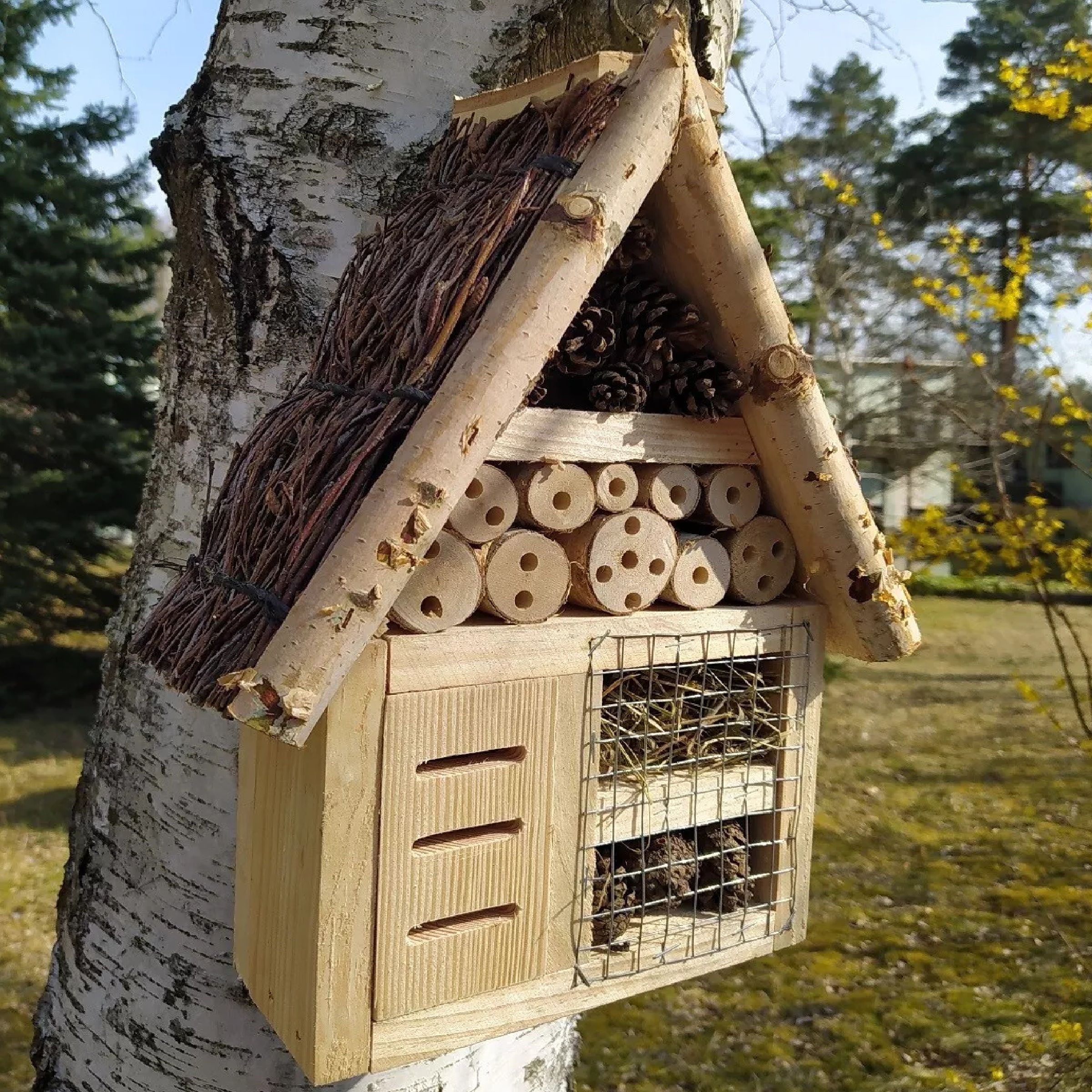 MIKONI Insektenhaus XXL | BIRKE | 37 x 21 x 8 cm | Insektenhotel Bienenhaus Winterquartier Biene Nistkasten Brutkasten Schutz für Bienen Marienkäfer